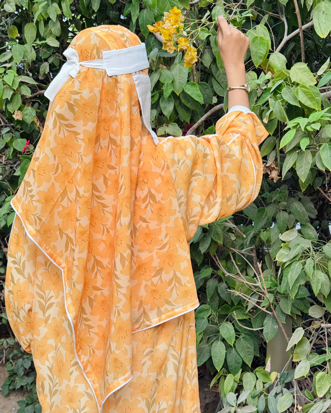Solara